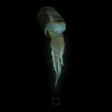 MM by MM - album cover