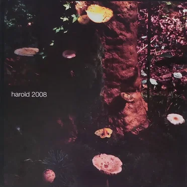 Harold 2008 by Various Artists - album cover