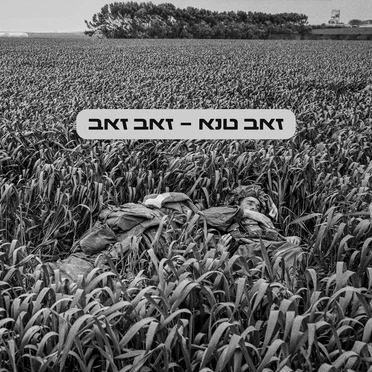 זאב זאב