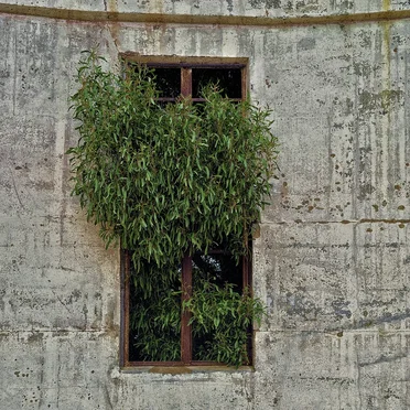 They'll Never Find Us Here