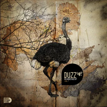 DuzzUp: So Whazz Duzz Up, Volume 7 by Various Artists - album cover