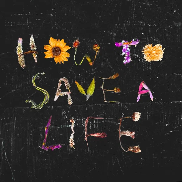 How to Save A Life