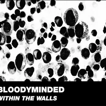 Within the Walls
