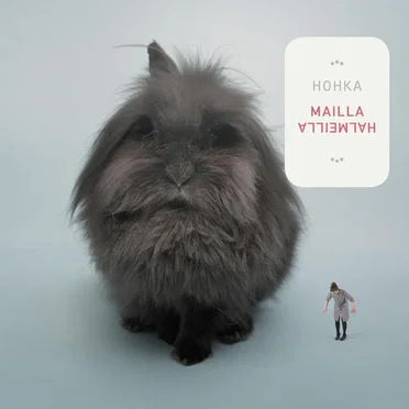 Mailla/Halmeilla by Hohka - album cover