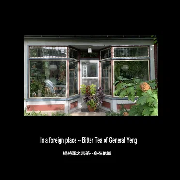 In a foreign place by Bitter Tea of General Yeng - album cover