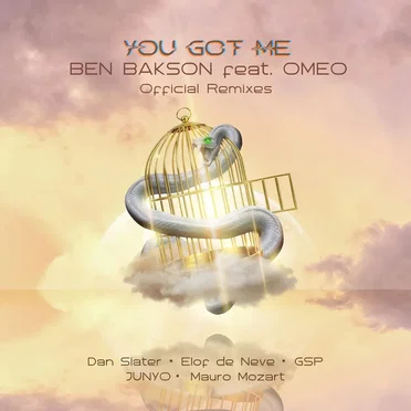 You Got Me (the official remixes)