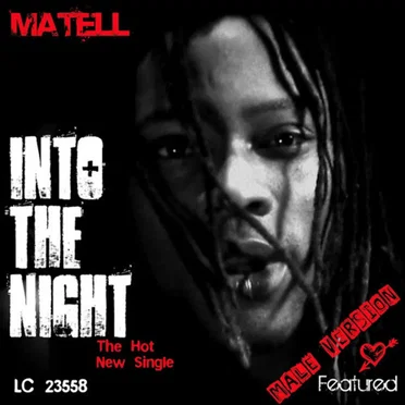 Into the Night by Matell - album cover