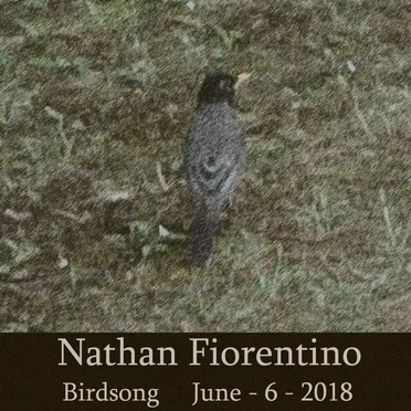 Birdsong June-6-2018