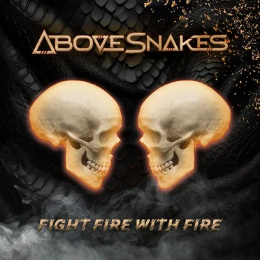 Fight Fire with Fire by Above Snakes - album cover