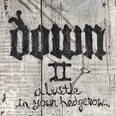 Down II: A Bustle in Your Hedgerow… by Down - album cover