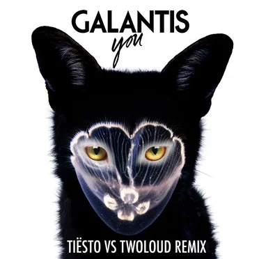 You (Tiësto vs. Twoloud radio edit)