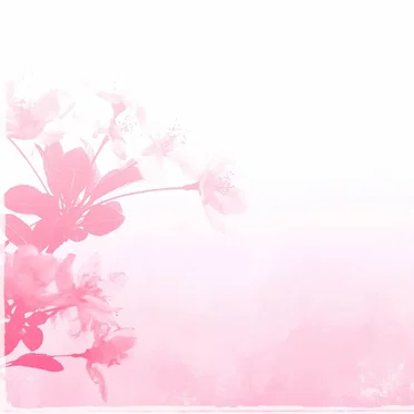Flower of Life by Beat Light - album cover