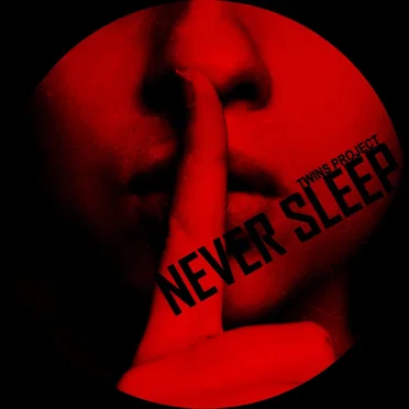 Never Sleep by Twins Project - album cover