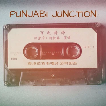 Punjabi Junction by Various Artists - album cover