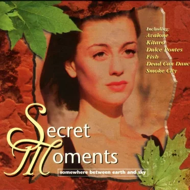 Secret Moments (Somewhere Between Earth and Sky) by Various Artists - album cover