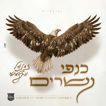 כנפי נשרים
