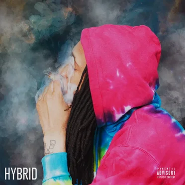 Hybrid by Willy J Peso - album cover