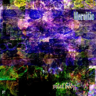 vital body by meroitic - album cover