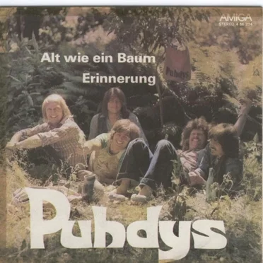 Alt wie ein Baum / Erinnerung