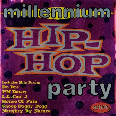 Millennium Hip Hop Party by Various Artists - album cover