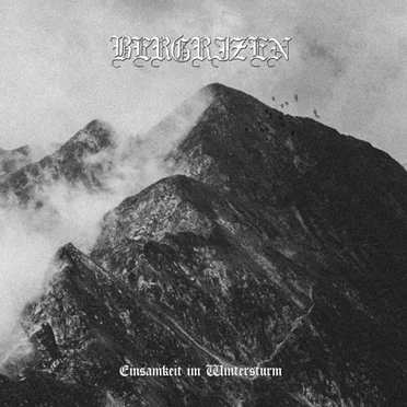 Einsamkeit im Wintersturm by Bergrizen - album cover