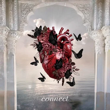 connect
