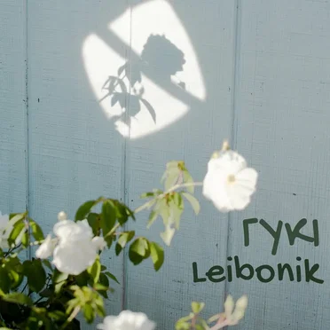 Гукі by Leibonik - album cover