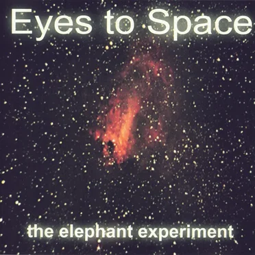 The Elephant Experiment