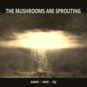 The Mushrooms Are Sprouting