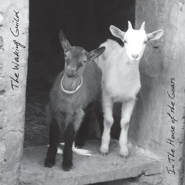 In the House of the Goats by The Waking Guild - album cover