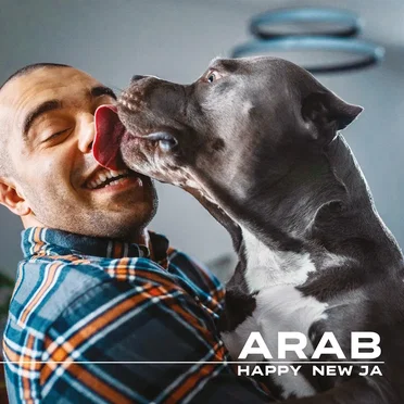 Happy New Ja by Arab - album cover