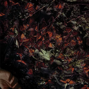 It Turns Pale by COSSE - album cover