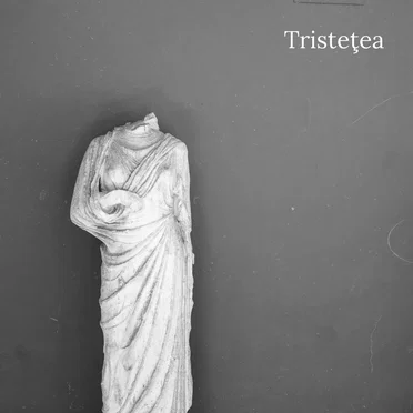Tristeţea by De Douăsprezece Statui ale Stărilor de Umbră ale Sufletului - album cover