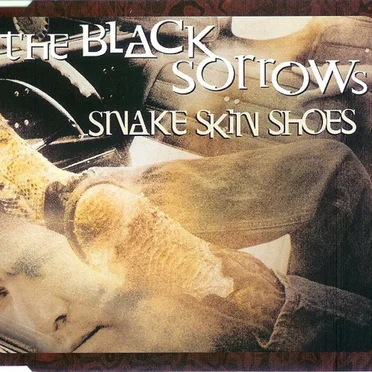 Snake Skin Shoes by The Black Sorrows - album cover