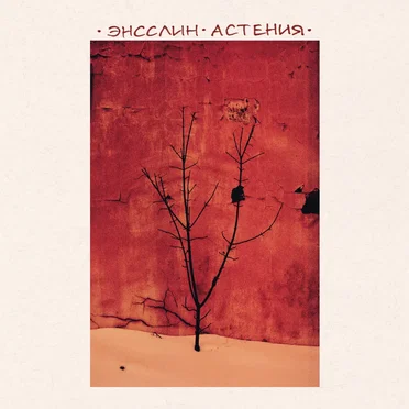 Энсслин ⸱ Астения