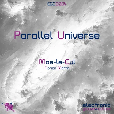 Parallel Universe