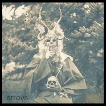 smoker by Strays - album cover
