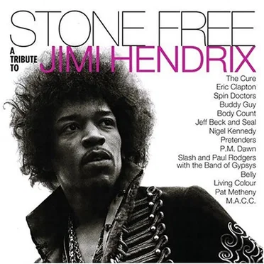 Stone Free: A Tribute to Jimi Hendrix by Various Artists - album cover