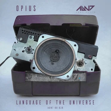 Language Of The Universe