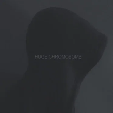 Huge Chromosome by Buffalo Tide - album cover
