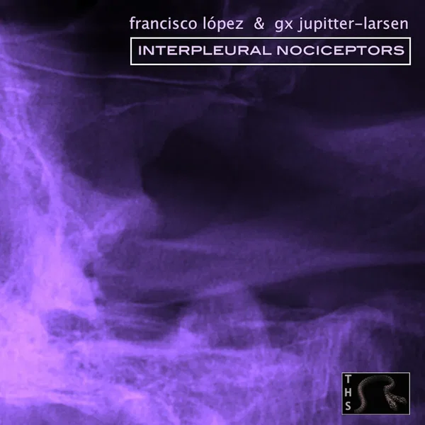 Interpleural Nociceptors
