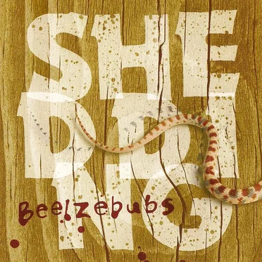 Shedding by Tufts University Beelzebubs - album cover