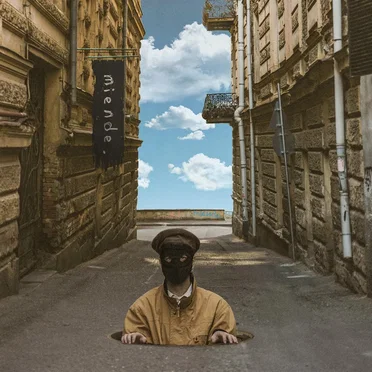 miende. by Bedford Falls - album cover
