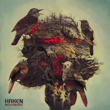 Nightingale by Haken - album cover