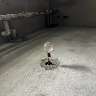 花 ／ 骨