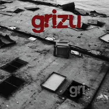Gri by Grizu - album cover