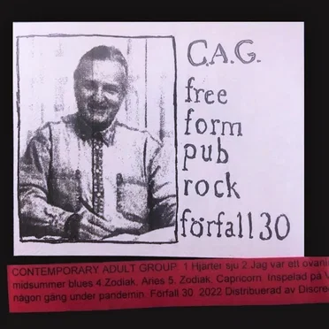 Free Form Pub Rock by Contemporary Adult Group - album cover
