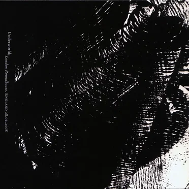 London Roundhouse. England 28.02.2008