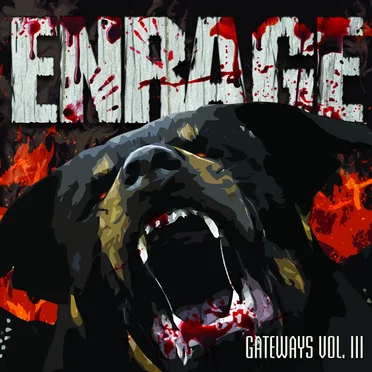 Gateways Vol. III by Enrage - album cover