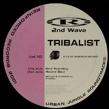 Still Standing / 4word Soul by Tribalist - album cover